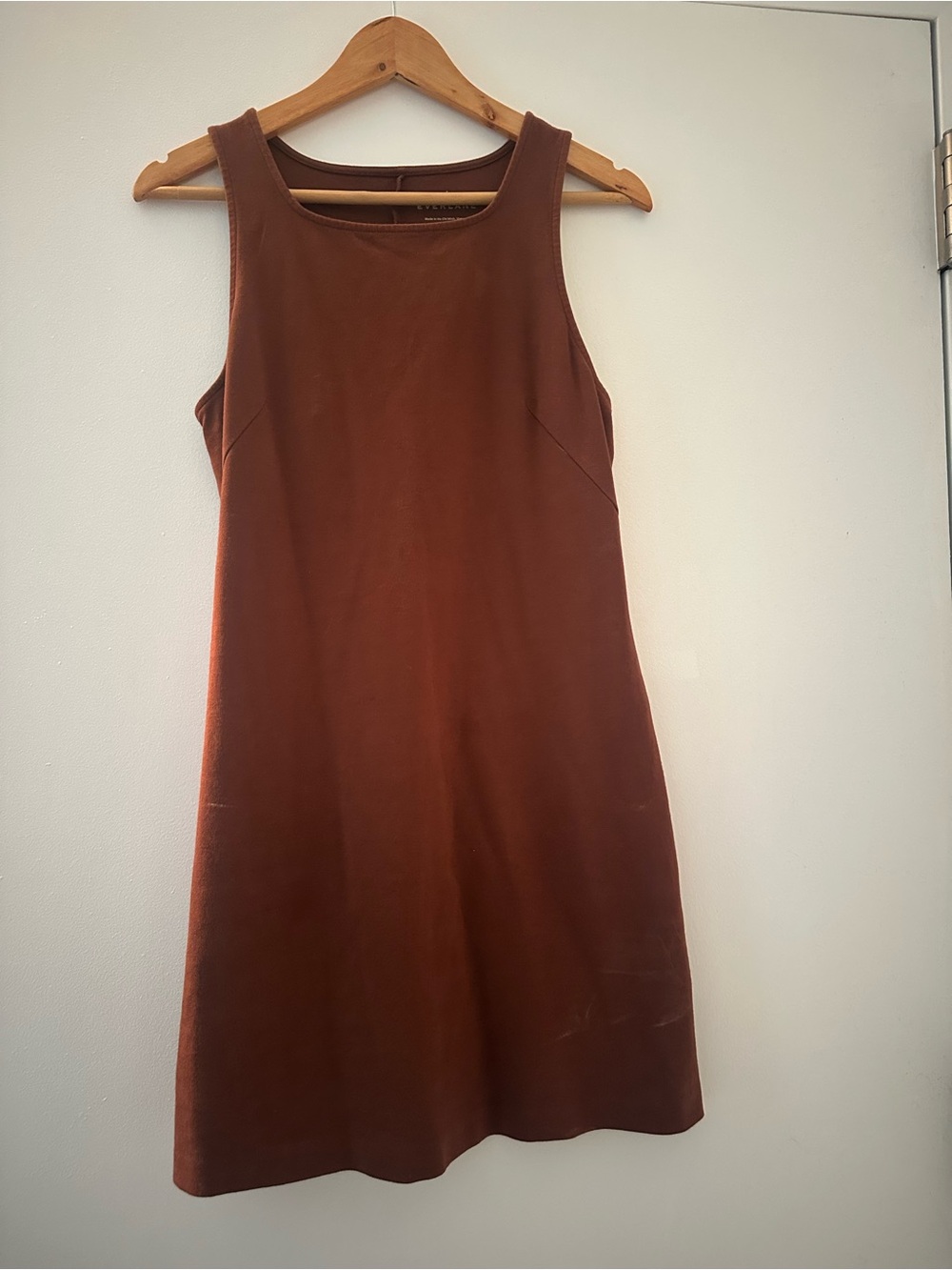 Everlane chocolate brown Shift Dress